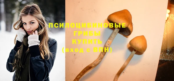 соль ск Алексеевка
