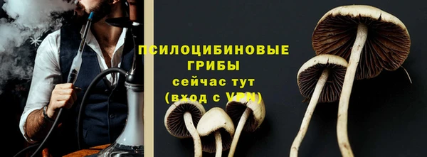 соль ск Алексеевка